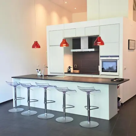 Magnifique Loft Avec Terrasse -jardin Appartement *