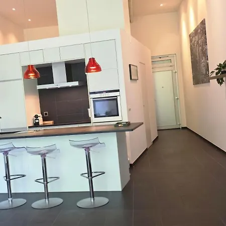 Appartement Magnifique Loft Avec Terrasse -jardin *