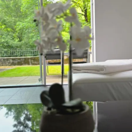 Апартаменты Magnifique Loft Avec Terrasse -jardin
